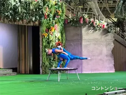 コントンショー