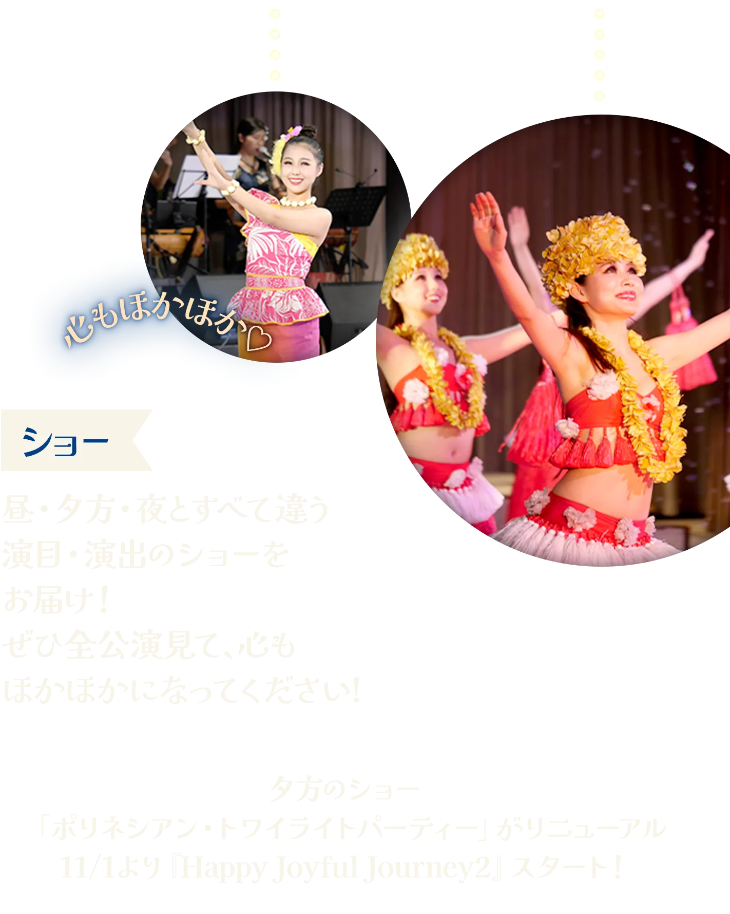 ショー|昼・夕方・夜とすべて違う演目・演出のショーをお届け！ぜひ全公演見て、心もほかほかになってください!